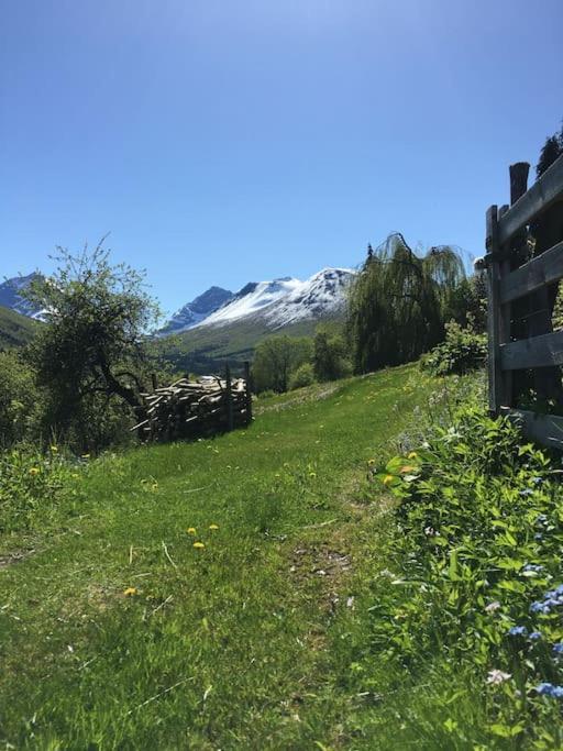 Moonvalley Lodge - Stort & Koselig Hus - Mandalen المظهر الخارجي الصورة